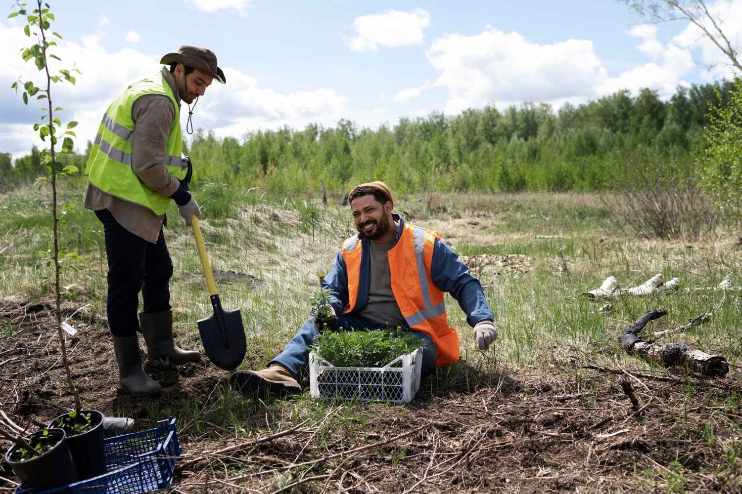 Best Local Tree Services  in Chelsea, MI